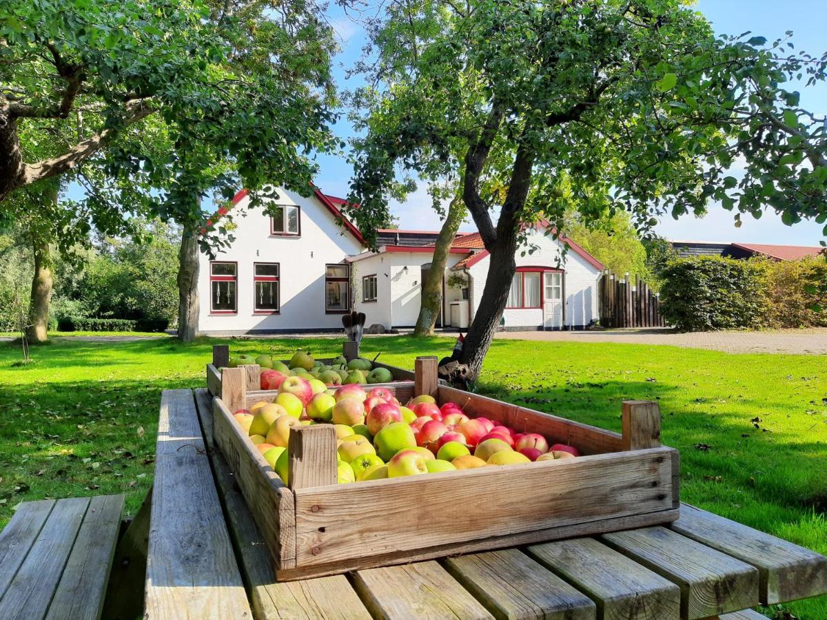Ferienwohnung De Vrijheid-Melkstal De Cocksdorp  Exterior foto