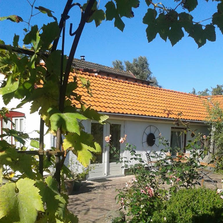 Ferienwohnung De Vrijheid-Melkstal De Cocksdorp  Exterior foto